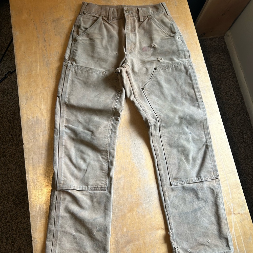 Carhartt Men's Double Knee Work Pants